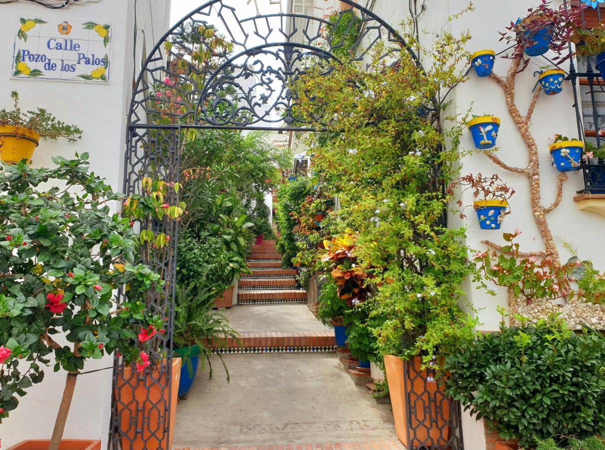 Casitamar Frontline Beach House Rental Casares Costa Near Estepona Bahia de Casares المظهر الخارجي الصورة